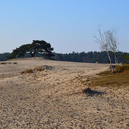 Willa Huisje Weideblik Doornspijk Zewnętrze zdjęcie